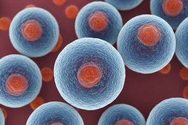 Cord blood stem cells with blue background