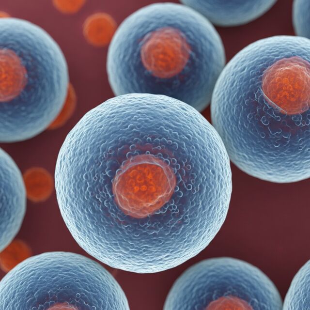 Cord blood stem cells with blue background
