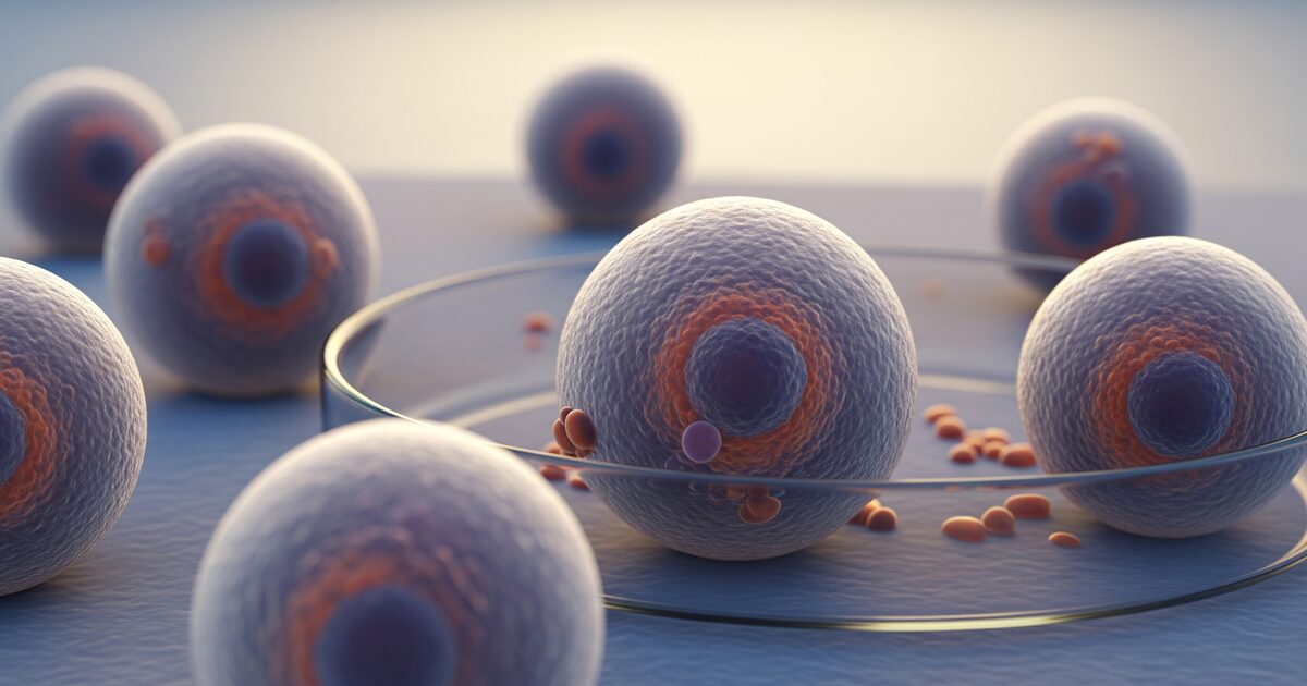 Stem Cell Banking Basics | Americord Registry