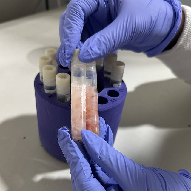 Screenshot 2026 02 01 at 3 54 05 PM