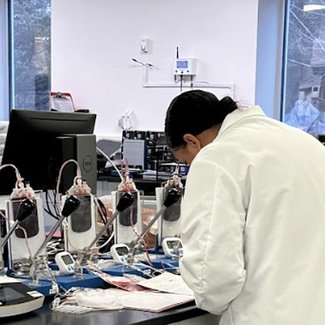 Screenshot 2026 02 01 at 4 01 57 PM