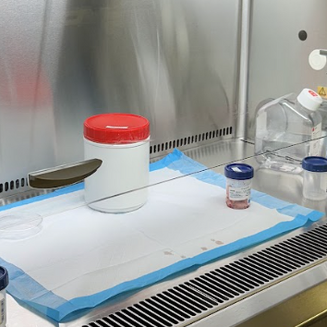 Screenshot 2026 02 01 at 4 07 23 PM