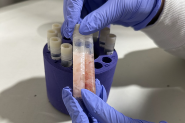 Screenshot 2026 02 02 at 2 26 02 PM