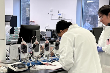 Screenshot 2026 02 01 at 4 01 57 PM