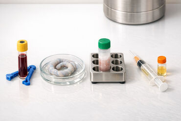 69892576676cd2891cb226b8 1770611739619