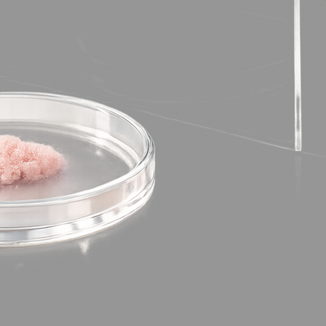 Screenshot 2026 03 05 at 1 49 05 PM