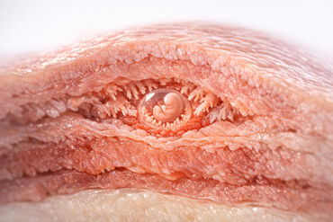 69af89fc12de151ab028c089 1773114537075