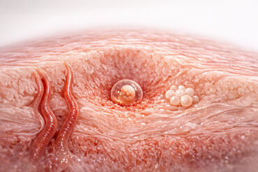 69b0b77612de151ab028e74d 1773200155691