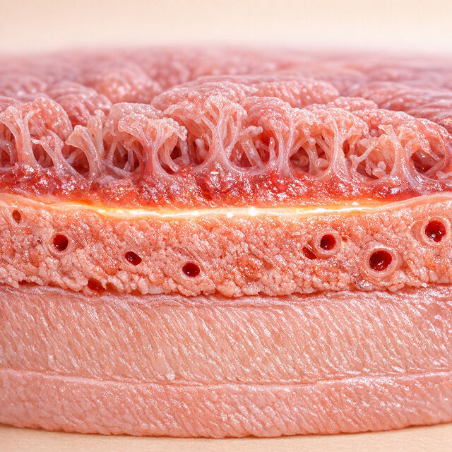 69b0e36112de151ab0290281 1773202734925