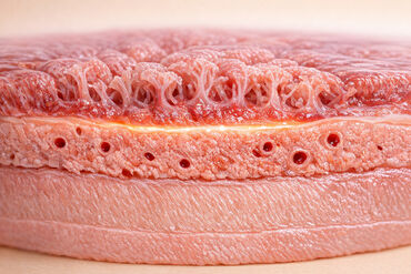 69b0e36112de151ab0290281 1773202734925