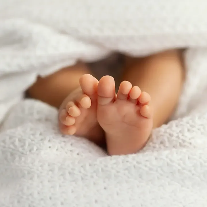 65773328 0 baby legs 2026 07 10 140639 piah